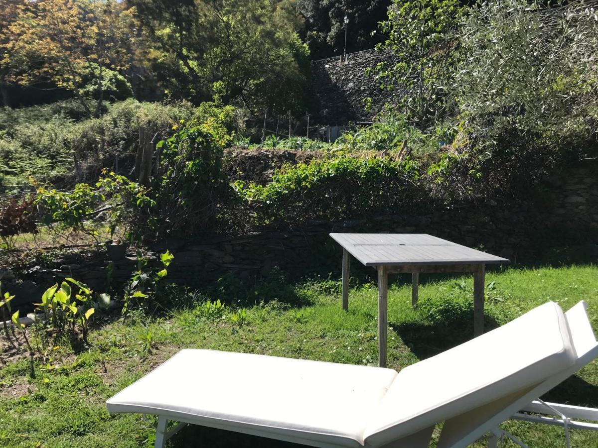 Maison De Charme Corse Sauvage Pietra-di-Verde Dış mekan fotoğraf