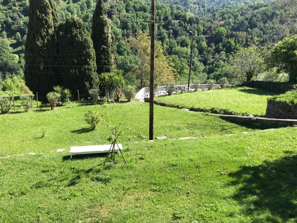 Maison De Charme Corse Sauvage Pietra-di-Verde Dış mekan fotoğraf