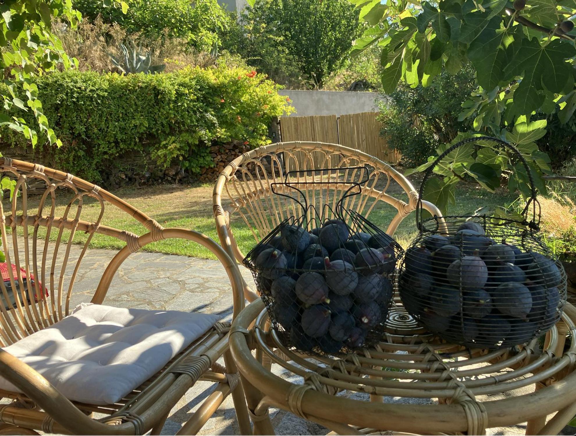 Maison De Charme Corse Sauvage Pietra-di-Verde Dış mekan fotoğraf