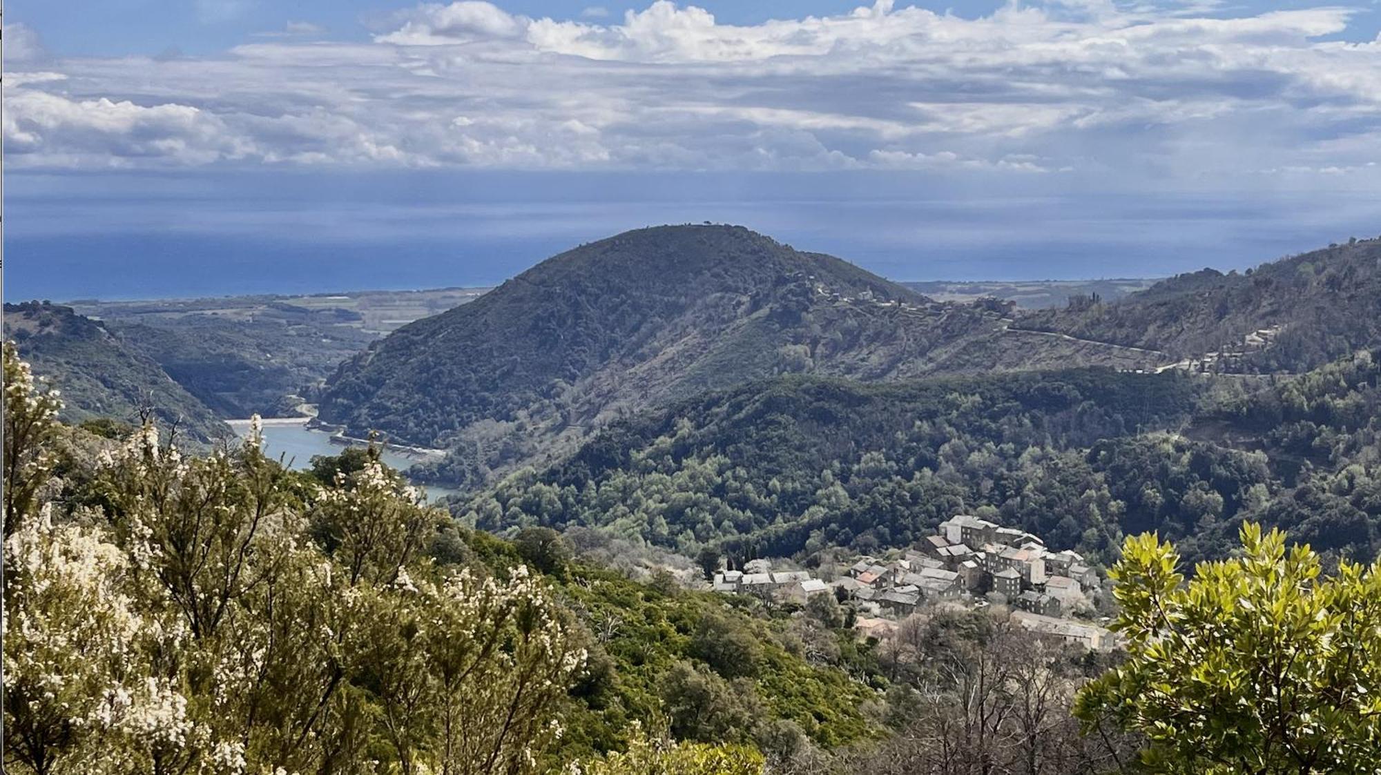 Maison De Charme Corse Sauvage Pietra-di-Verde Dış mekan fotoğraf