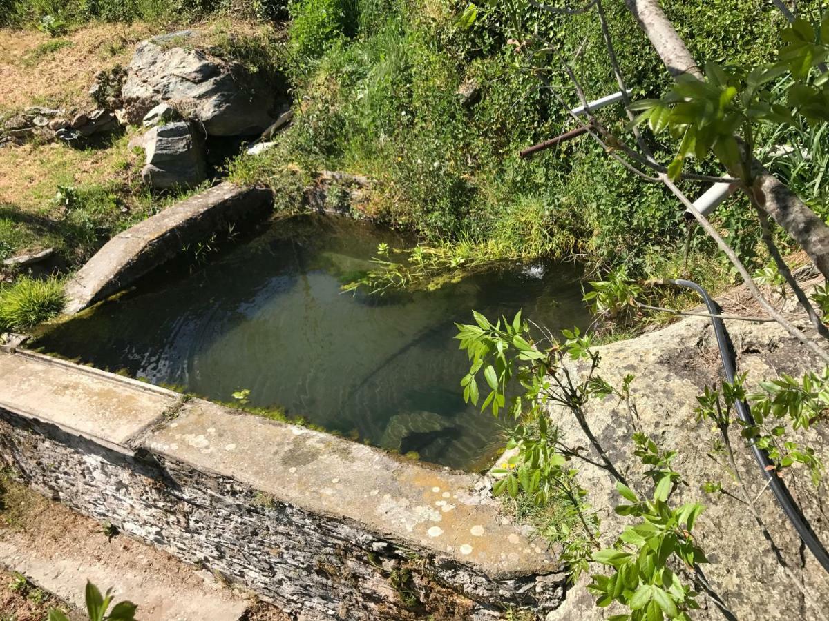 Maison De Charme Corse Sauvage Pietra-di-Verde Dış mekan fotoğraf