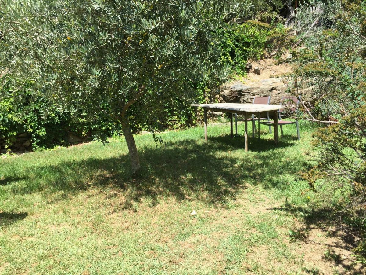 Maison De Charme Corse Sauvage Pietra-di-Verde Dış mekan fotoğraf