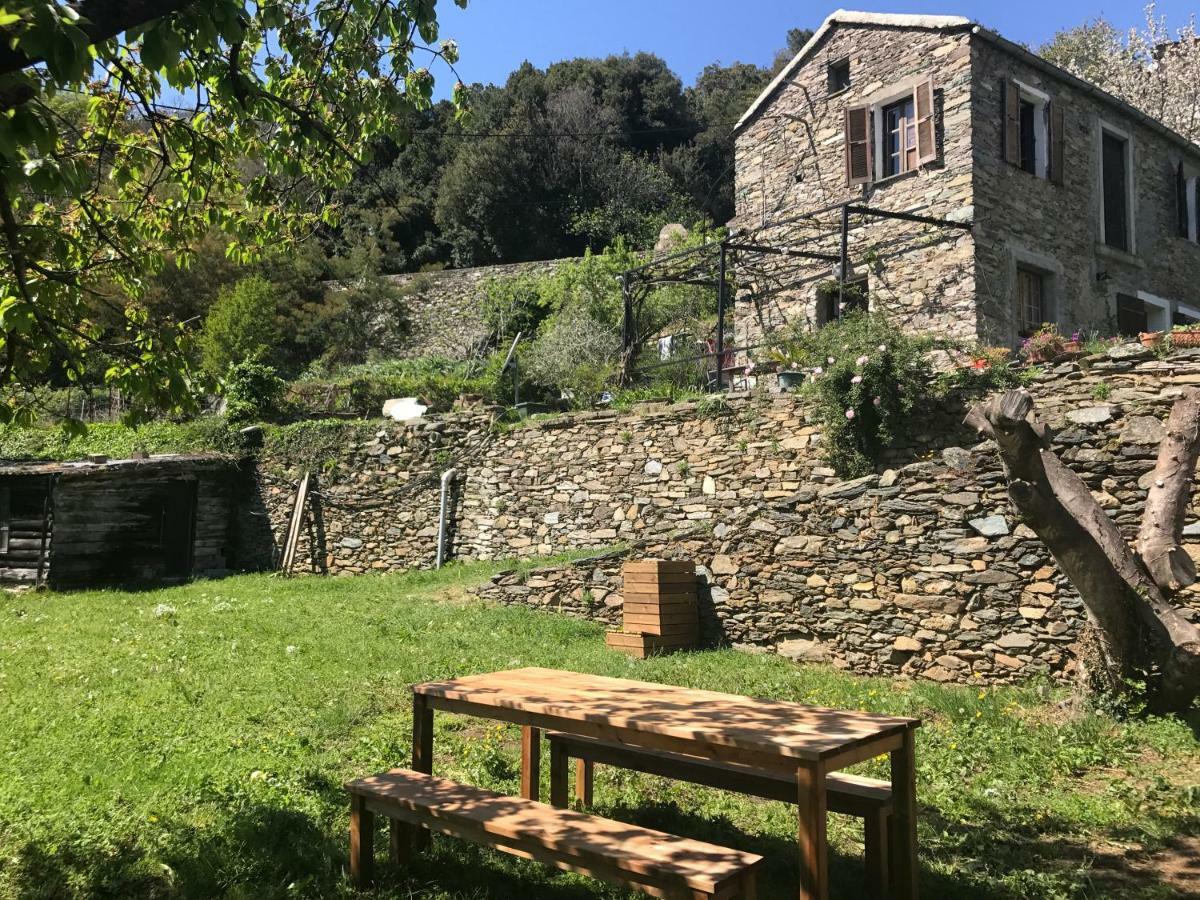 Maison De Charme Corse Sauvage Pietra-di-Verde Dış mekan fotoğraf